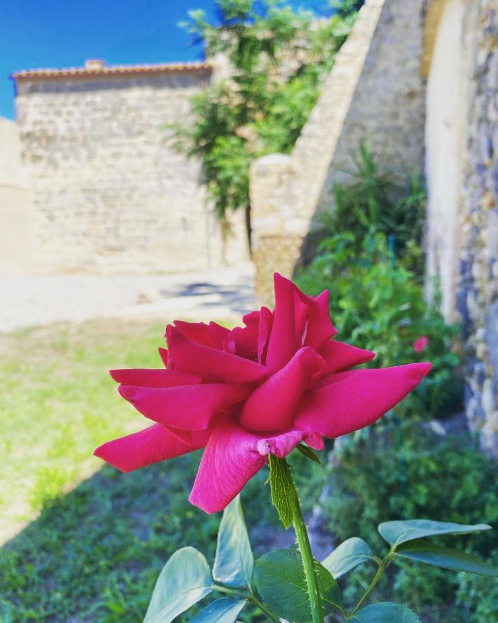 Cal Robusto, In Masia With Horses Siurana (Alt Emporda)