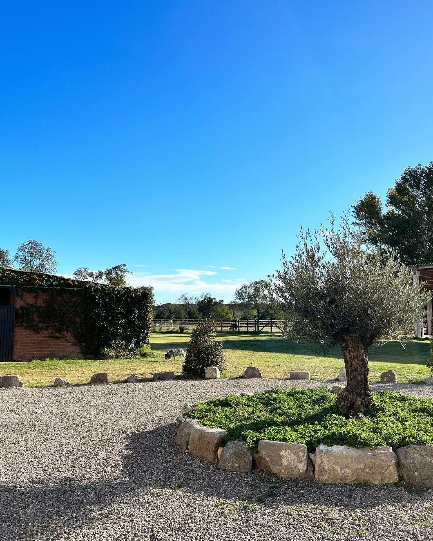 Cal Robusto, In Masia With Horses Appartement