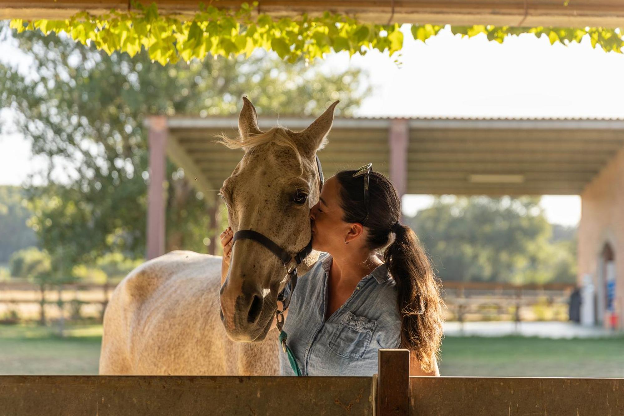 Appartement Cal Robusto, In Masia With Horses