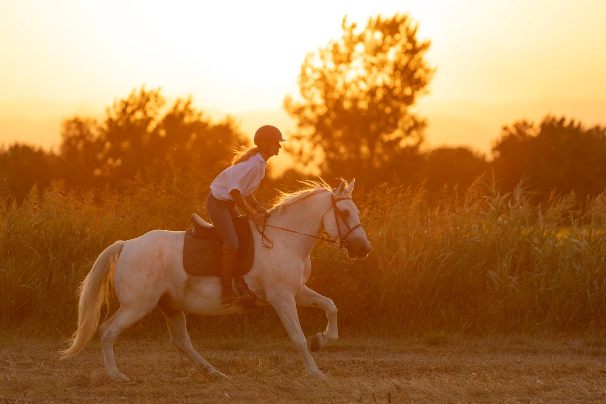 Cal Robusto, In Masia With Horses Appartement *