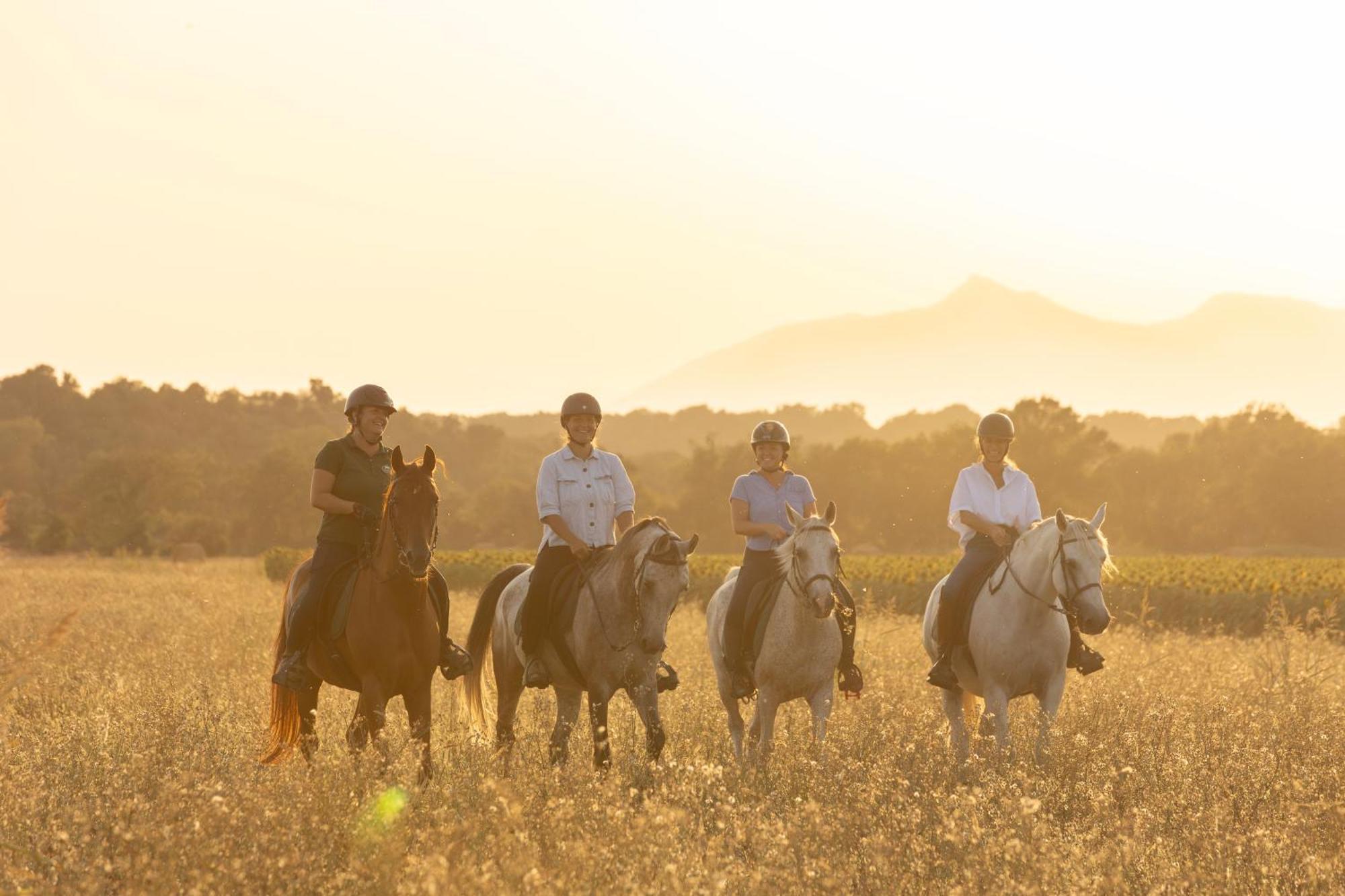 Appartement Cal Robusto, In Masia With Horses *
