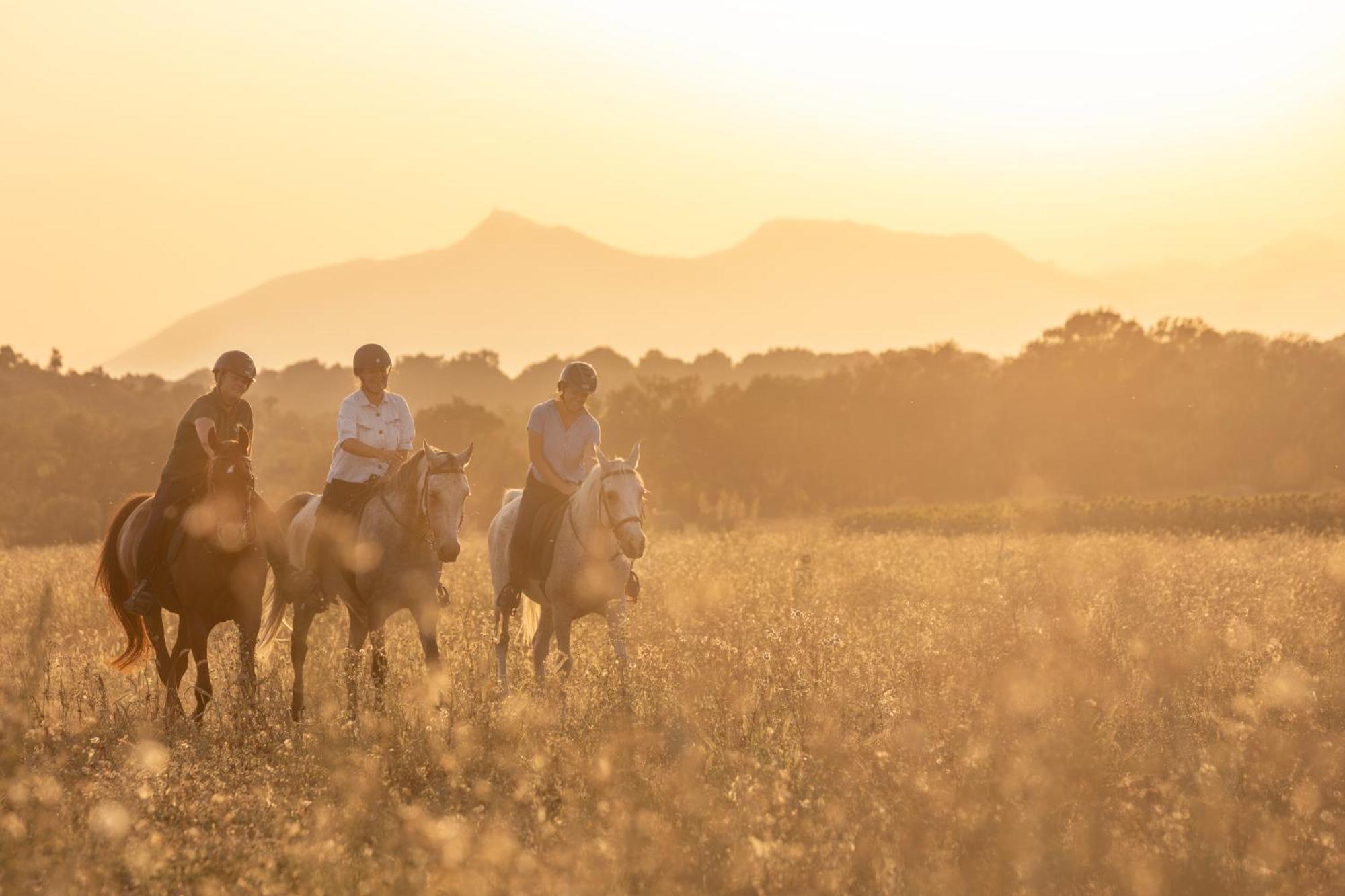 Cal Robusto, In Masia With Horses Appartement