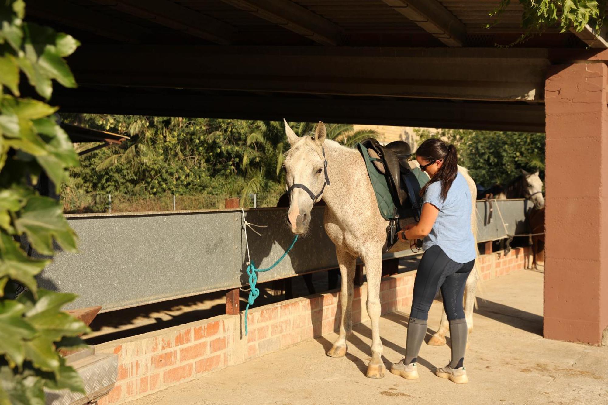 Appartement Cal Robusto, In Masia With Horses Siurana (Alt Emporda)