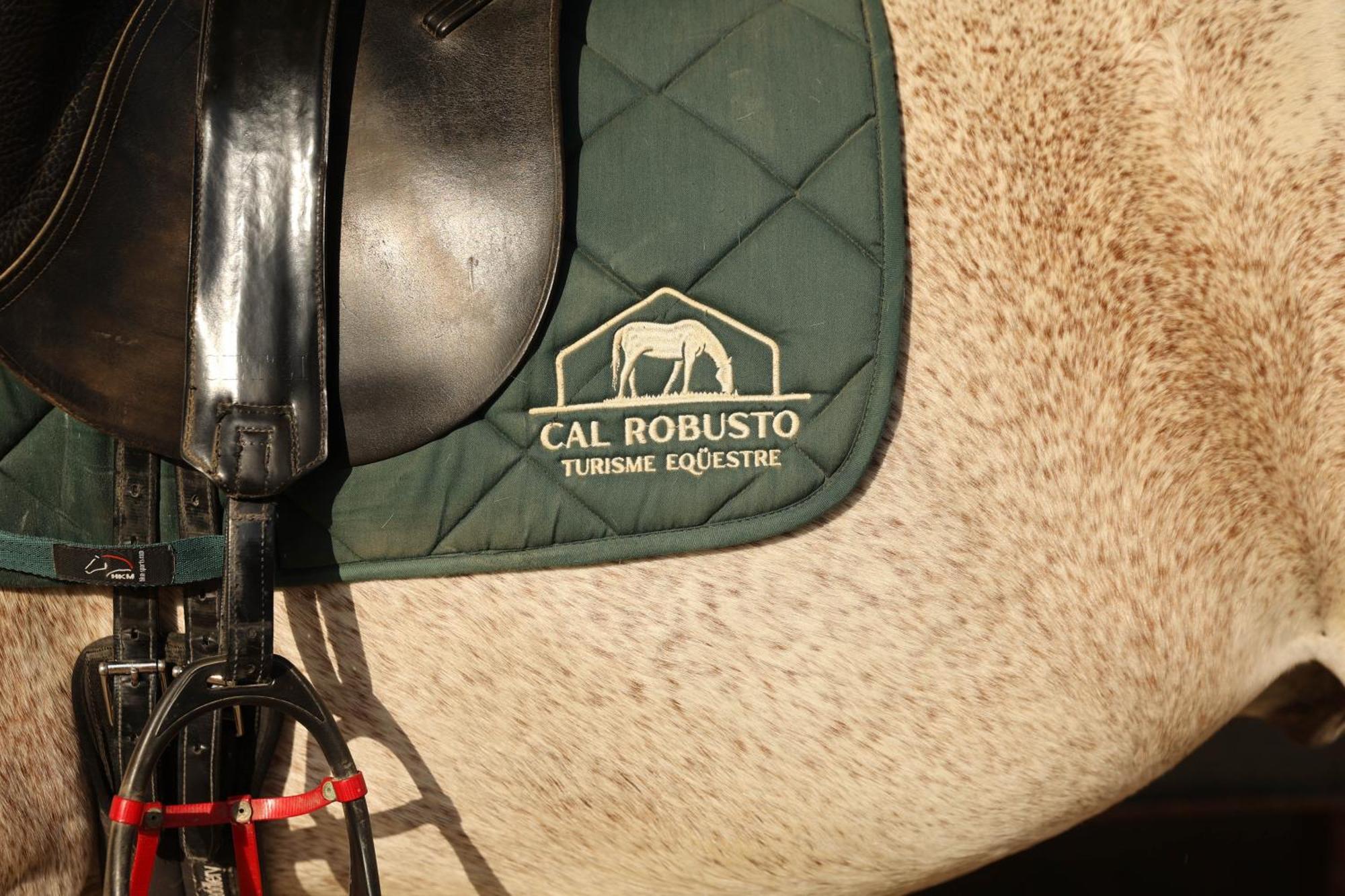 Cal Robusto, In Masia With Horses Siurana (Alt Emporda)