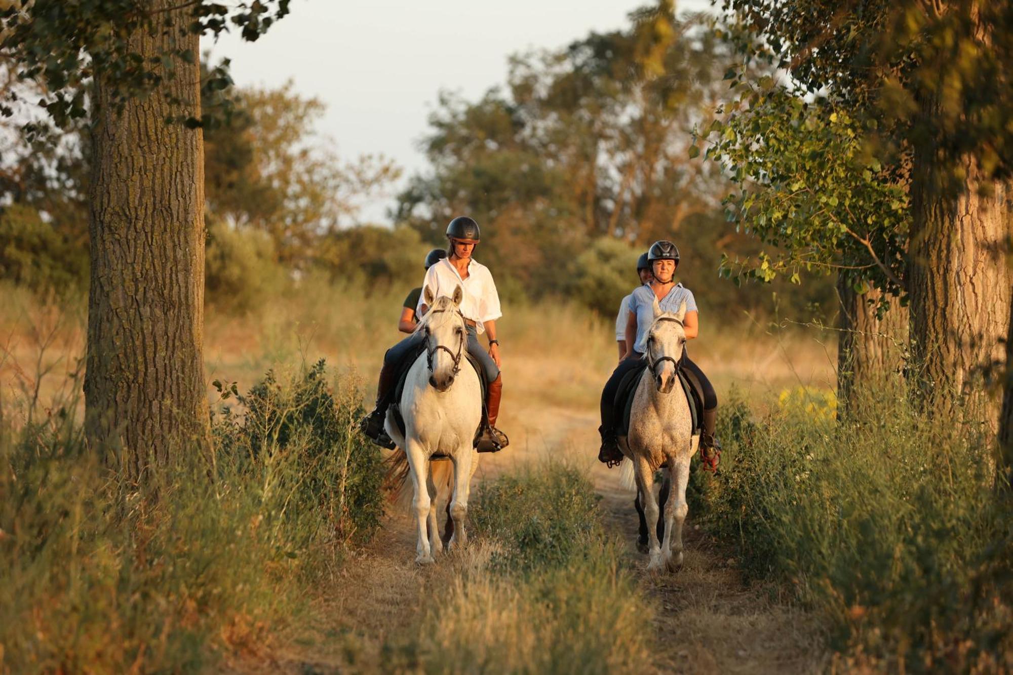 Appartement Cal Robusto, In Masia With Horses *